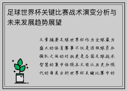 足球世界杯关键比赛战术演变分析与未来发展趋势展望