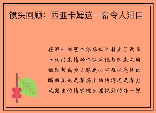 镜头回顾：西亚卡姆这一幕令人泪目